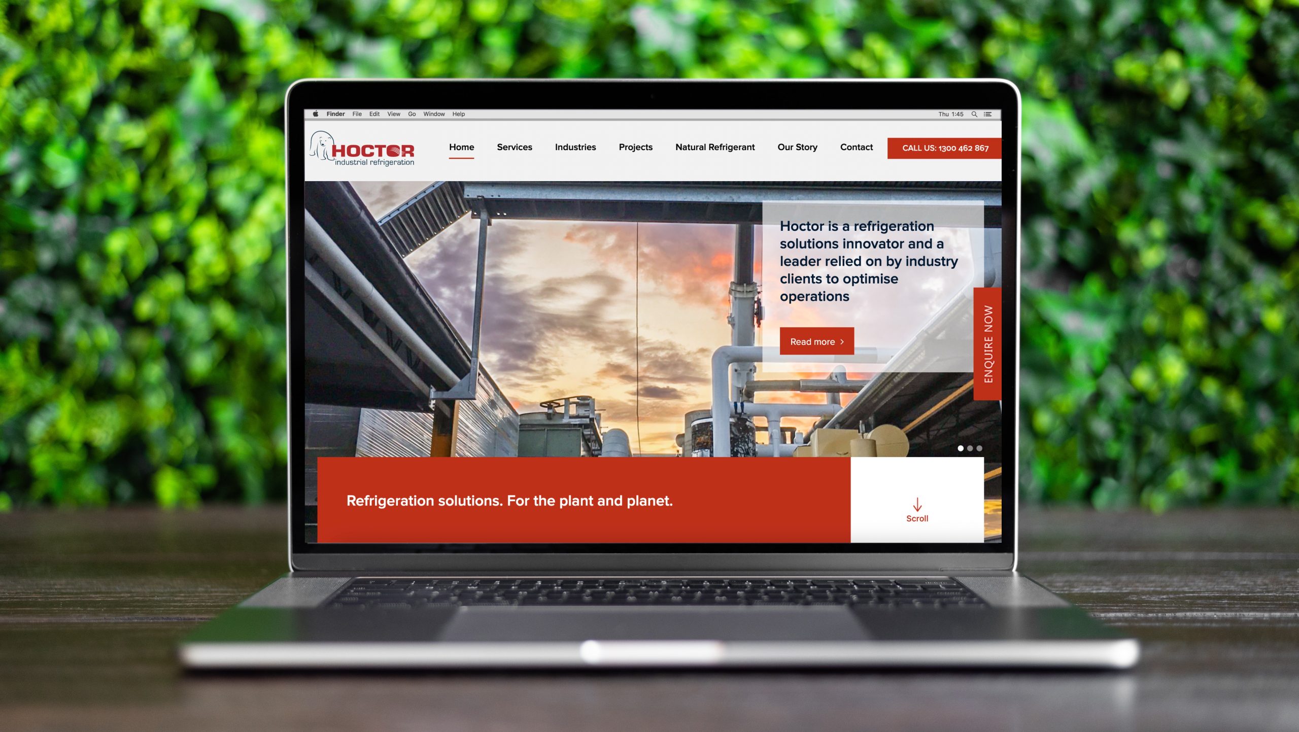 Website Launch
